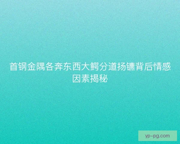 首钢金隅各奔东西大鳄分道扬镳背后情感因素揭秘